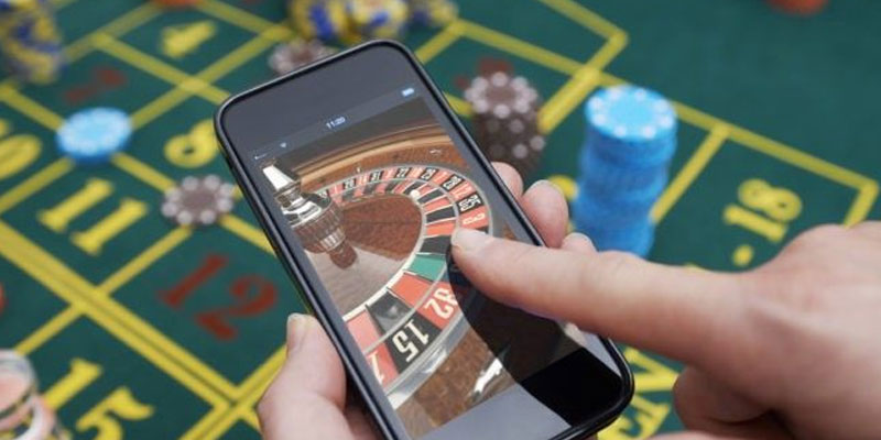 Khám phá về nền tảng Kimsa - Cổng thông tin đa chức năng dành cho người dùng Việt Nam